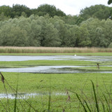 St Jean de Braye Parc Charbonniere 5