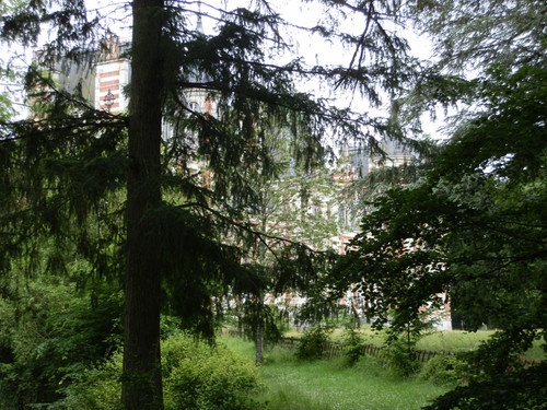 St Jean de Braye Parc Charbonniere 11