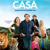 1k9F8U884cHe2qUCHrBm3UEQVGO