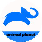 animalplanet.png