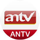 antv big copy.png