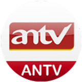 antv big copy