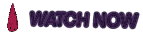 IMG 3732.png