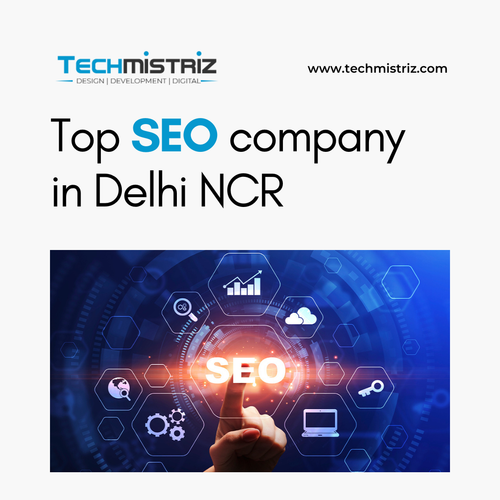 Top SEO company in Delhi NCR | Techmistriz.png