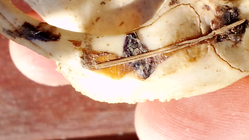 VID 20240228 090853.mp4 snapshot 17.40.236.png