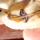 VID 20240228 090853.mp4 snapshot 17.40.236