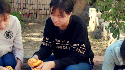 XiaoMei.2019.1080p.WEB DL.AAC.H264 MISS.mkv 20240303 165243.147.png