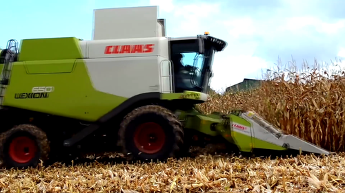 XiaoMei.2019.1080p.WEB DL.AAC.H264 MISS.mkv 20240303 165241.376.png