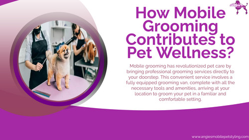 How Mobile Grooming Contributes to Pet Wellness.jpg