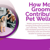 How Mobile Grooming Contributes to Pet Wellness