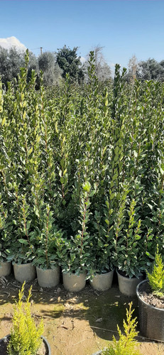 WhatsApp Image 2024 02 27 at 12.42.04 5b4e34f5.jpg