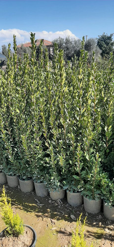 WhatsApp Image 2024 02 27 at 12.42.03 e1ba964d.jpg