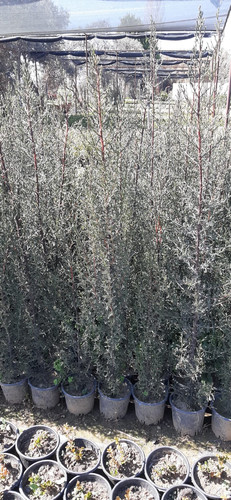 WhatsApp Image 2024 02 27 at 12.52.11 54ca14a4.jpg