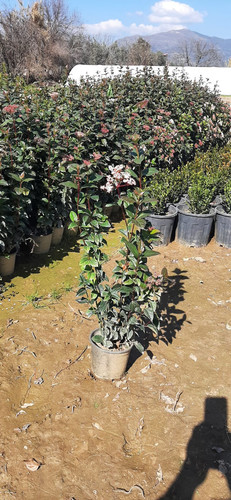 WhatsApp Image 2024 02 27 at 12.35.21 e86435d4.jpg