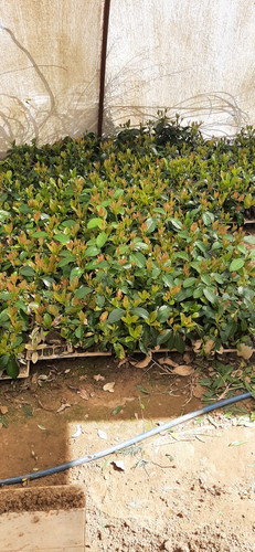 WhatsApp Image 2024 02 27 at 12.32.43 911c3ca1.jpg