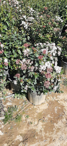 WhatsApp Image 2024 02 27 at 12.51.16 6a42ee66.jpg