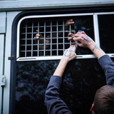 valery tenevoy IRMM8wyHqAg unsplash