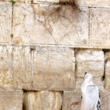 sylvain brison tS3QiTQw7Mk unsplash