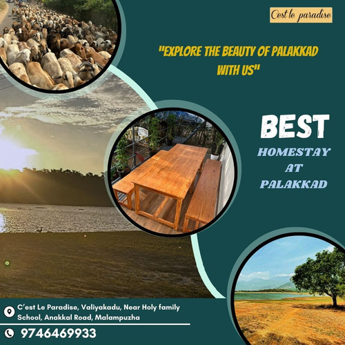best homestay at palakkad.jpg