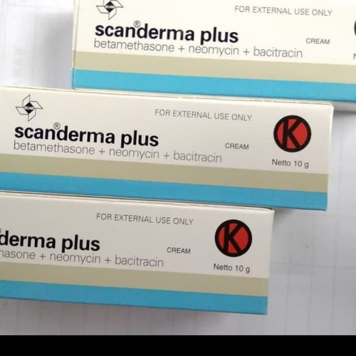 2785002 896103ec ee37 4dbd a228 a44df34a6d0e 720 720.jpg