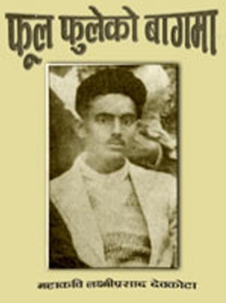 894.jpg
