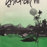 904.jpg