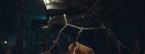 Drawing.Sword.Fighting.Ghost.Cry.2020.2160p.WEB D(3).png