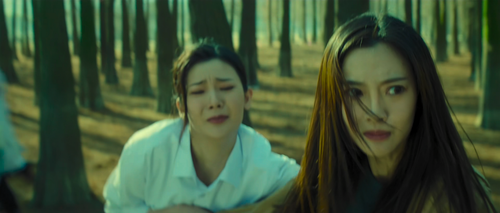 Metamorphosis.2022.2160p.WEB DL.AAC.H265.HDR MISS.mkv 20240303 180643.040.png