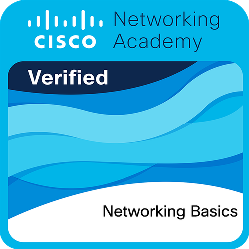 networking basics.png