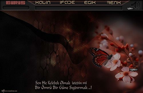 Canan Radyo Teması Sen Hiç Kelebek.jpg