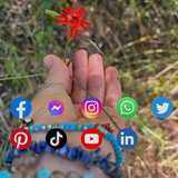 Ashley Nicky Miller Blog Inflence Of Social Media