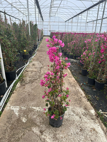 WhatsApp Image 2024 02 29 at 14.33.37 c2408ac3.jpg