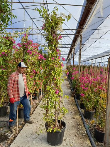 WhatsApp Image 2024 02 29 at 14.35.44 f563251f.jpg