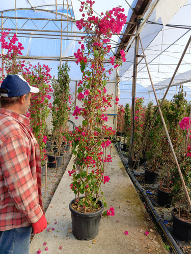 WhatsApp Image 2024 02 29 at 14.35.41 505a09ee.jpg