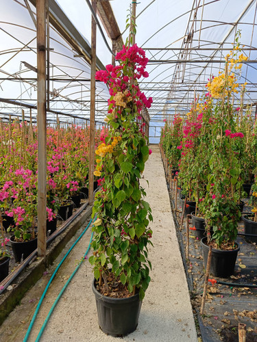 WhatsApp Image 2024 02 29 at 14.35.42 53def4b6.jpg