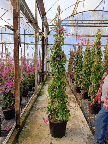 WhatsApp Image 2024 02 29 at 14.35.43 9a292ac4.jpg