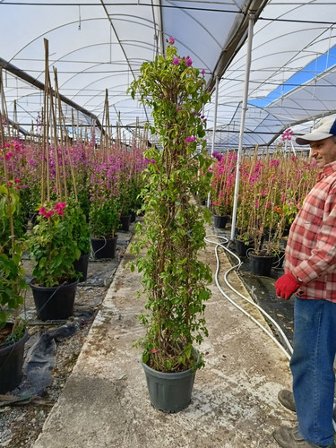 WhatsApp Image 2024 02 29 at 14.36.46 0c303e87.jpg