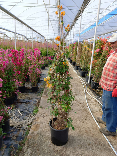 WhatsApp Image 2024 02 29 at 14.36.46 513c35e2.jpg