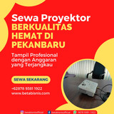 Proyektor213