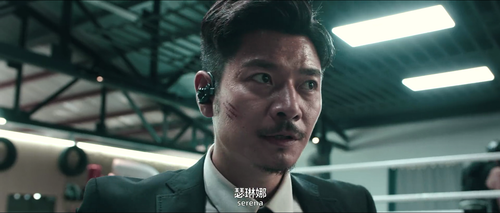 Ace.Bodyguard.2021.1080p.WEB DL.AAC.H264 MISS.mkv 20240304 130522.194.png