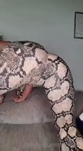 0Ha894mmoz2rita0sy5a4 Source 4 looped.webp