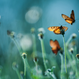 Untitled design (47)