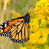 Untitled design (48)