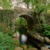 Untitled design (61)