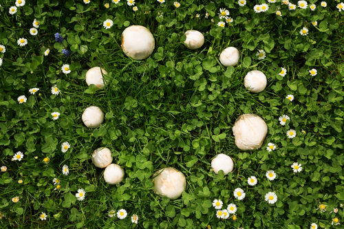 Untitled design (28).png