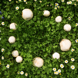 Untitled design (28)