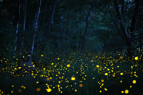 Untitled design (46).png