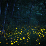 Untitled design (46)