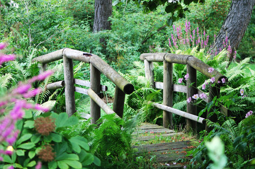 Untitled design (58).png