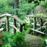 Untitled design (58)